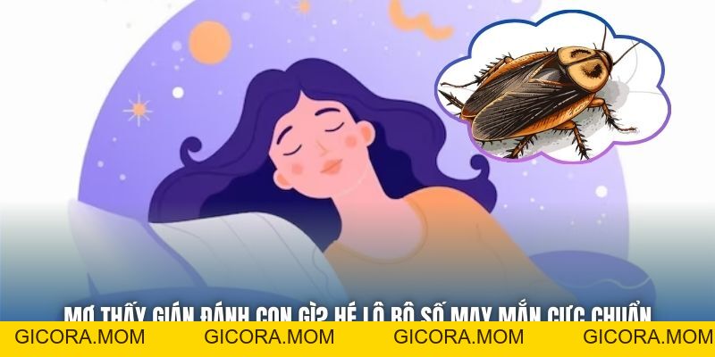 Mơ Thấy Gián Đánh Con Gì? Hé Lộ Bộ Số May Mắn Cực Chuẩn - GICORA.MOM