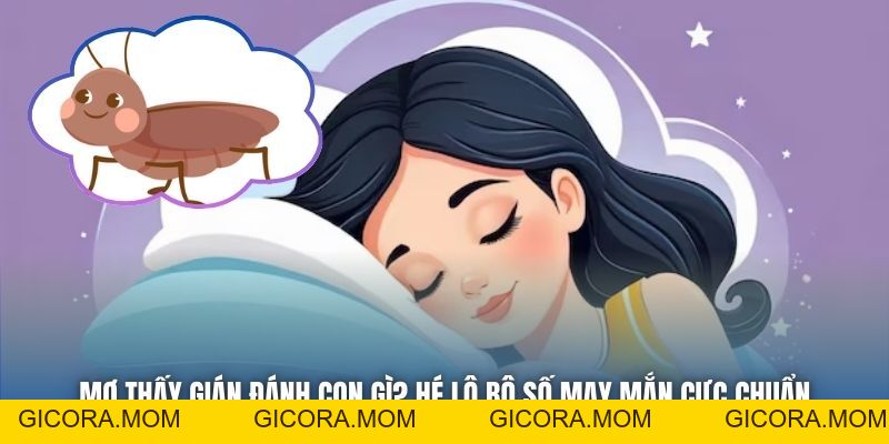 Mơ Thấy Gián Đánh Con Gì? Hé Lộ Bộ Số May Mắn Cực Chuẩn - GICORA.MOM