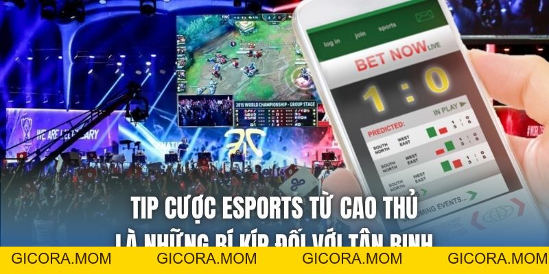 Tip Cược Esports Từ Cao Thủ - Chiến Thuật Thắng Lớn Đỉnh Cao - GICORA.MOM