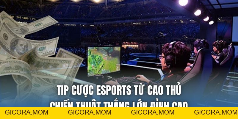 Tip Cược Esports Từ Cao Thủ - Chiến Thuật Thắng Lớn Đỉnh Cao - GICORA.MOM