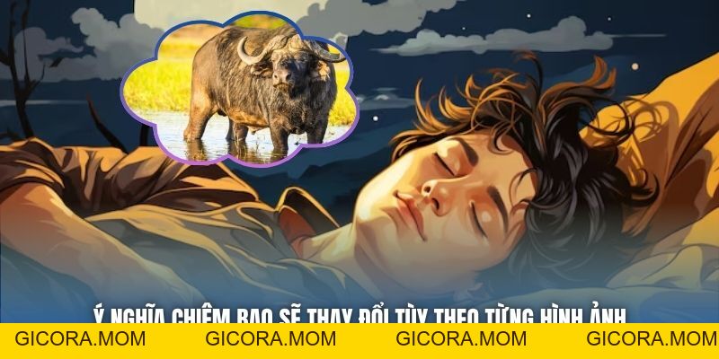 Nằm Mơ Thấy Trâu Báo Điềm Gì? Giải Mã Chiêm Bao Chi Tiết - GICORA.MOM