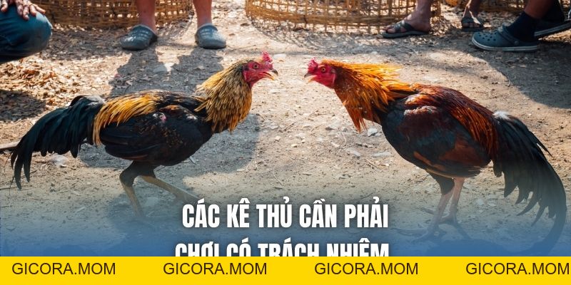 Đá Gà 88 Là Gì? Thưởng Thức Chọi Kê Online Sống Động - GICORA.MOM