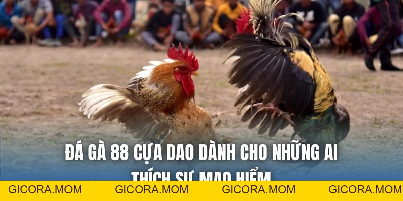Đá Gà 88 Là Gì? Thưởng Thức Chọi Kê Online Sống Động - GICORA.MOM