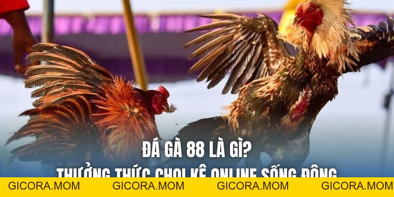 Đá Gà 88 Là Gì? Thưởng Thức Chọi Kê Online Sống Động - GICORA.MOM