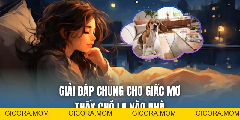 Mơ Thấy Chó Lạ Vào Nhà Điềm Gì, Tốt Hay Xấu? - GICORA.MOM
