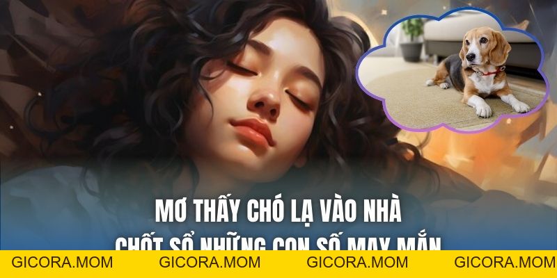 Mơ Thấy Chó Lạ Vào Nhà Điềm Gì, Tốt Hay Xấu? - GICORA.MOM