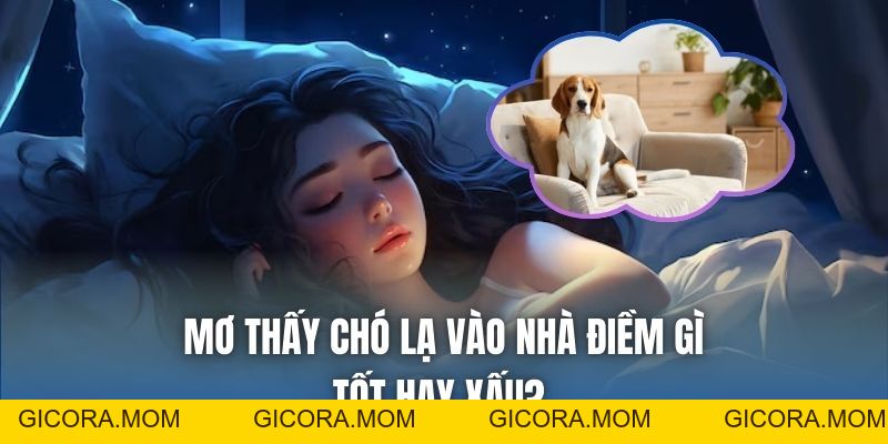 Mơ Thấy Chó Lạ Vào Nhà Điềm Gì, Tốt Hay Xấu? - GICORA.MOM