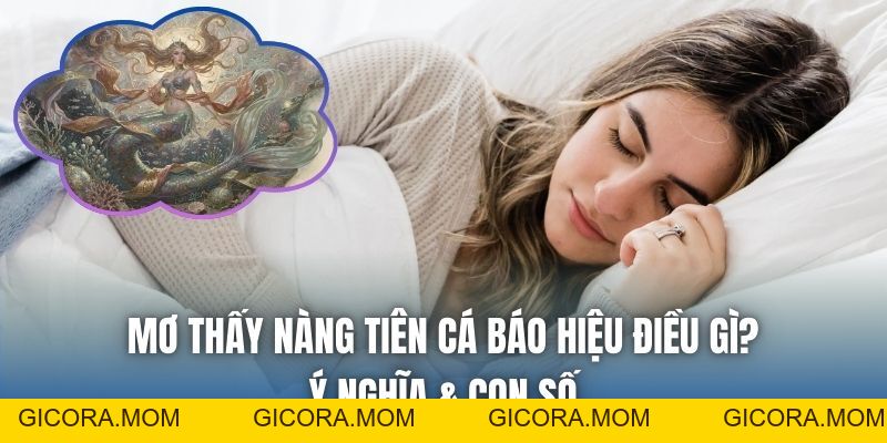 Mơ Thấy Nàng Tiên Cá Báo Hiệu Điều Gì? Ý Nghĩa & Con Số - GICORA.MOM