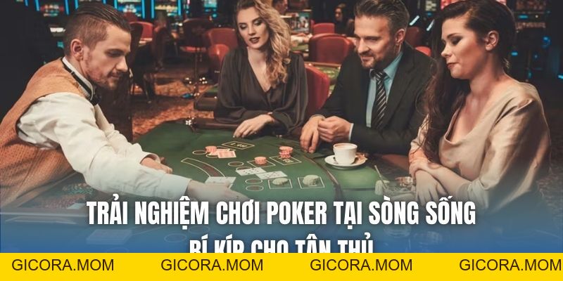 Trải Nghiệm Chơi Poker Tại Sòng Sống: Bí Kíp Cho Tân Thủ - GICORA.MOM