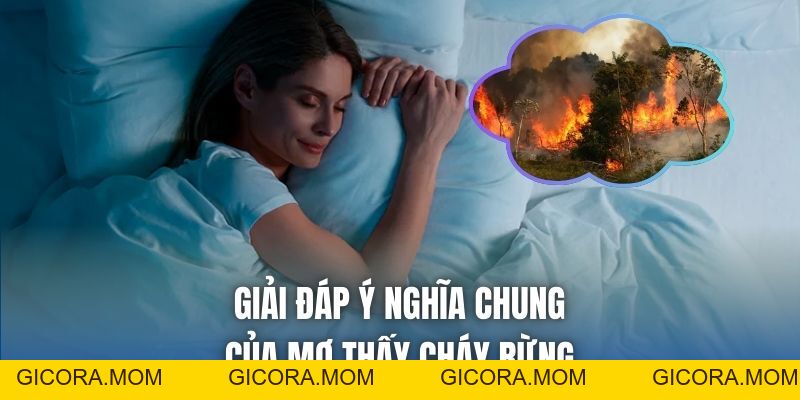 Mơ Thấy Cháy Rừng Là Điềm Gì? Giải Mã Chi Tiết Chiêm Bao - GICORA.MOM