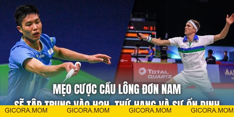 Mẹo Cược Cầu Lông Đơn Nam Dễ Thắng Nhất Năm 2026 - GICORA.MOM