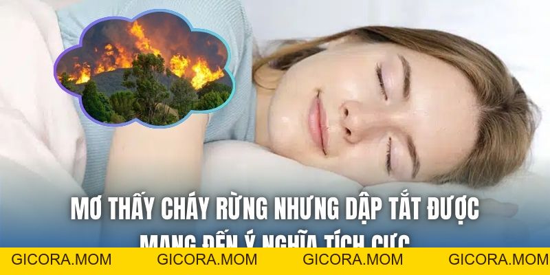 Mơ Thấy Cháy Rừng Là Điềm Gì? Giải Mã Chi Tiết Chiêm Bao - GICORA.MOM