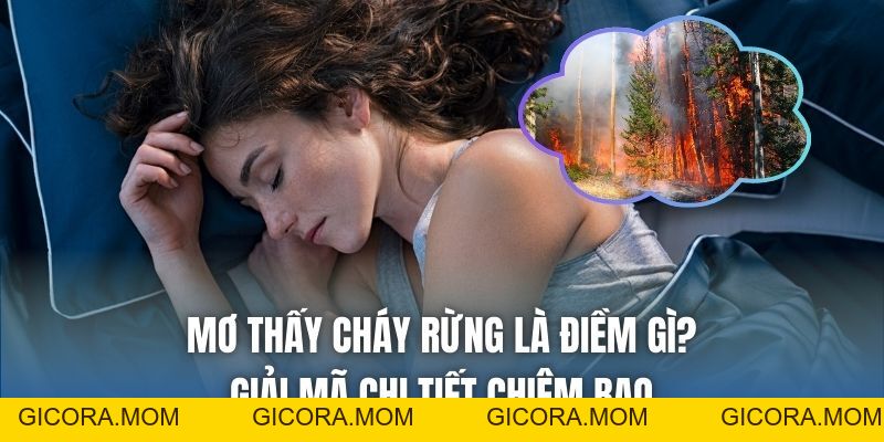 Mơ Thấy Cháy Rừng Là Điềm Gì? Giải Mã Chi Tiết Chiêm Bao - GICORA.MOM