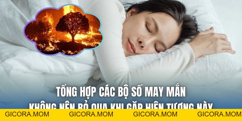 Mơ Thấy Cháy Rừng Là Điềm Gì? Giải Mã Chi Tiết Chiêm Bao - GICORA.MOM
