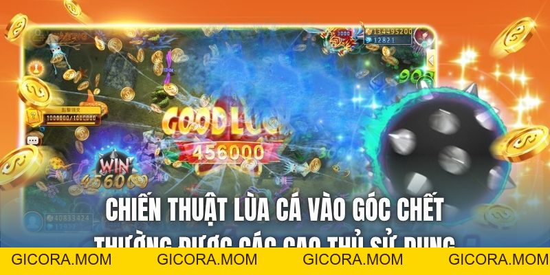 Chiến Thuật Lùa Cá Vào Góc Chết | Kỹ Thuật Của Cao Thủ - GICORA.MOM