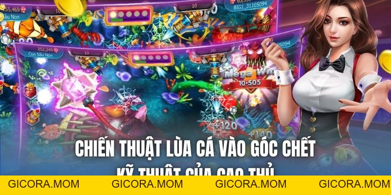 Chiến Thuật Lùa Cá Vào Góc Chết | Kỹ Thuật Của Cao Thủ - GICORA.MOM