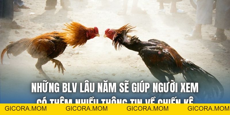 Trực Tiếp Đá Gà 67 Có Gì Hấp Dẫn Mà Bạn Chưa Biết? - GICORA.MOM