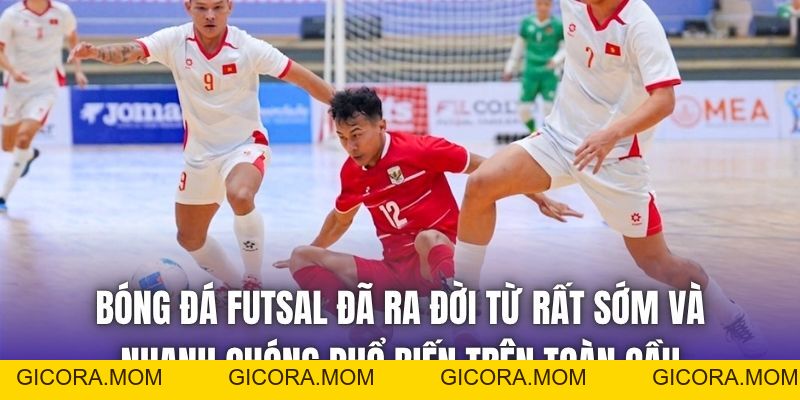 Bóng Đá Futsal | Lựa Chọn Cho Những Người Mê Nghệ Thuật - GICORA.MOM