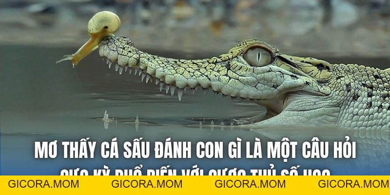 Mơ Thấy Cá Sấu Đánh Con Gì | Điềm Báo Từ Loài Vật Đáng Sợ - GICORA.MOM