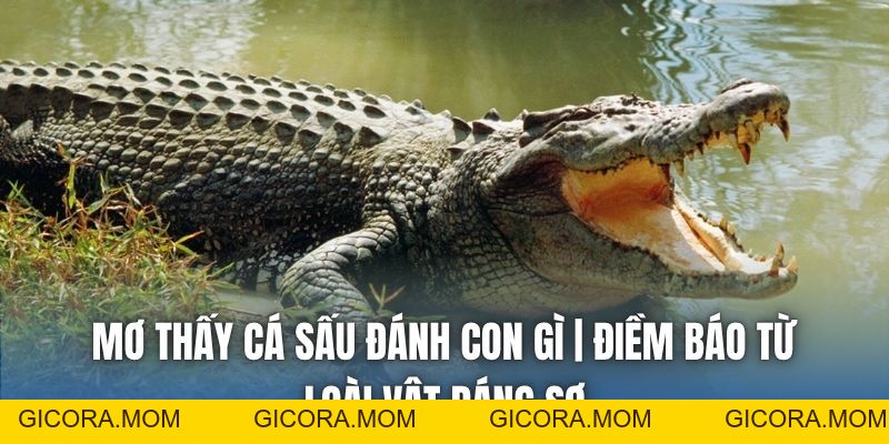 Mơ Thấy Cá Sấu Đánh Con Gì | Điềm Báo Từ Loài Vật Đáng Sợ - GICORA.MOM