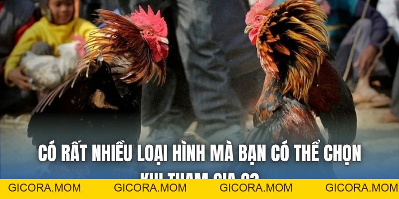 Đá Gà Trực Tiếp C3 | Thế Giới Riêng Của Kê Thủ - GICORA.MOM
