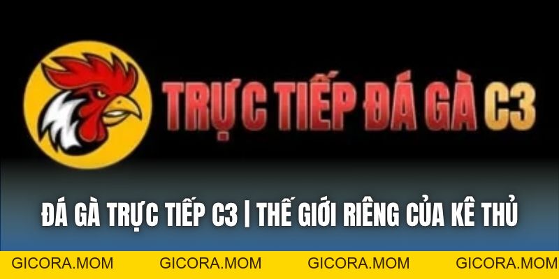 Tin Tức 88CLB Cập Nhật Nhanh Trong 24H - GICORA.MOM