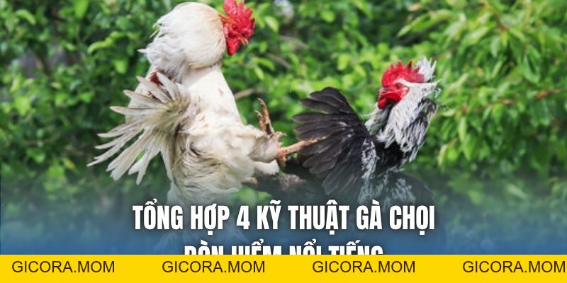 Gà Chọi Đòn Hiểm Nổi Tiếng - Những Thế Đánh Đáng Chú Ý - GICORA.MOM